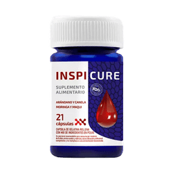 Inspicure na slovensku